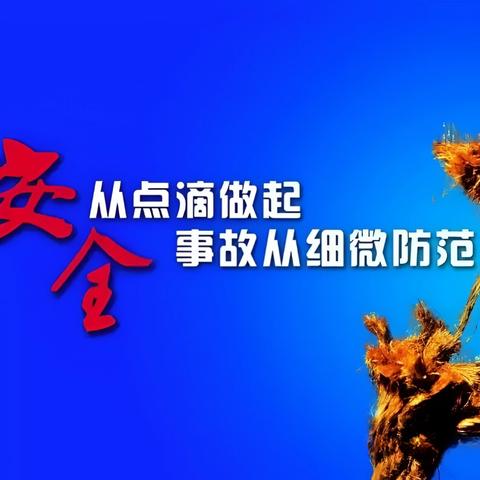 北杜街道成功举办2024年“安全生产月”活动 引领安全新风尚