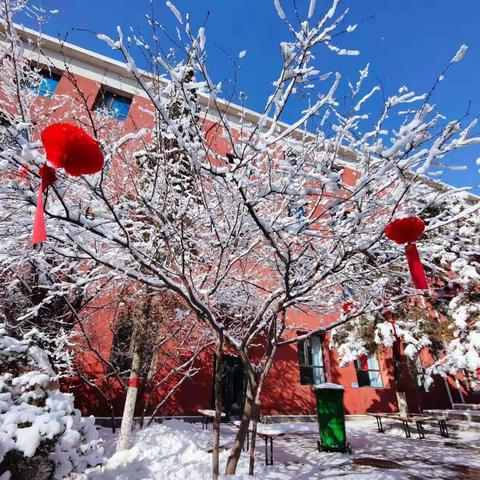 瑞雪满校园，扫雪护安全——包钢八中扫雪记