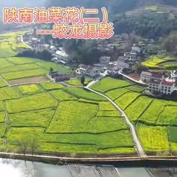 陕南油菜花美如画