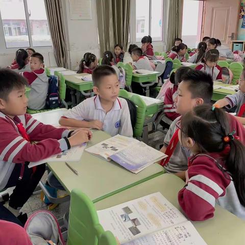 冬已至，春可期——新世纪小学四5班第一学期期末总结