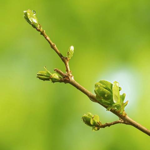【咖蓝笛托育中心】的简篇