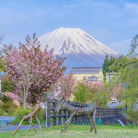 抗“疫”路上，我们别样的精彩 ——王岗初中线上教学优秀教师风采