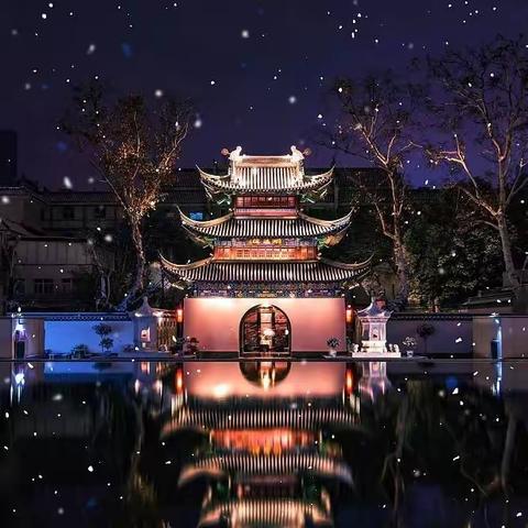 南京一地深度四日游  3🈷️看梅花，4🈷️看樱花  大巴团