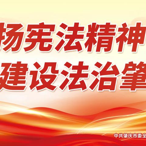 【法治政府建设】弘扬宪法精神 建设法治肇庆