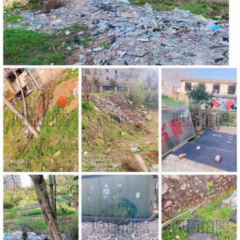 2023年3月16日四级监管领导小组办公室检查城西街道、钟岭街道环境卫生