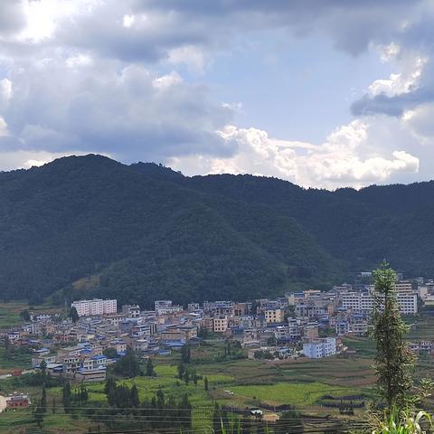 法斗乡人民政府关于 ﻿征集2025年重大民生实事﻿项目的公告