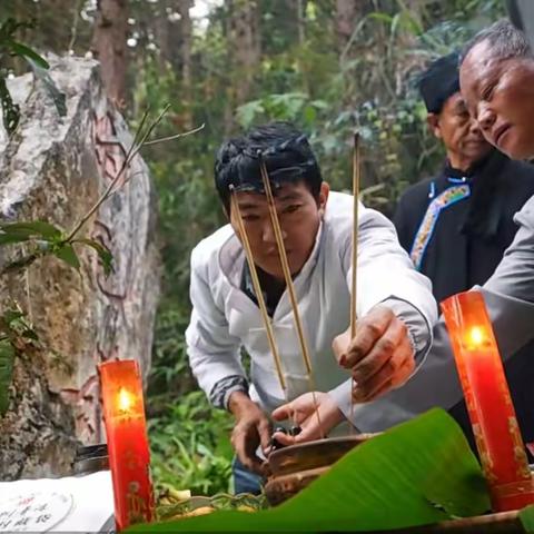 品千年古茶 赏坪寨雅韵｜法斗乡第四届古树茶文化雅集 圆满启幕