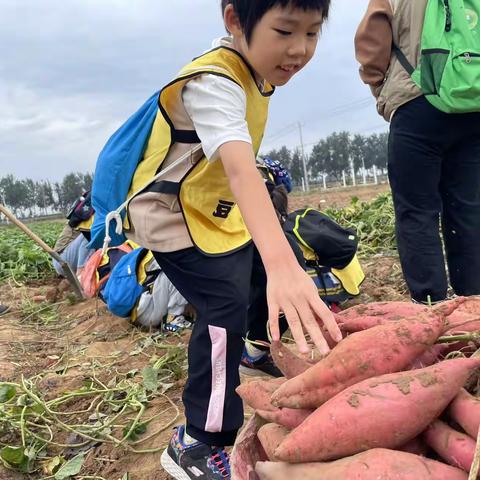 迎中秋庆国庆