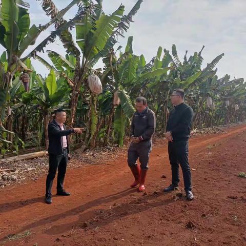 把关土地流转    促进农民增收