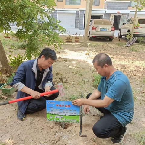 “美化环境筑家园  绿地认领展新颜”——祥和里小区绿地认领活动