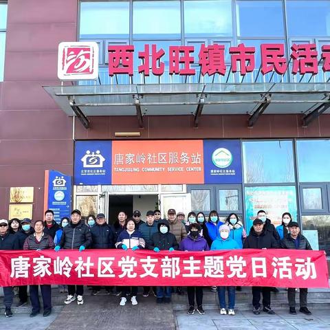 情暖三月学雷锋 党员示范做表率 ——唐家岭社区党支部三月主题党日活动