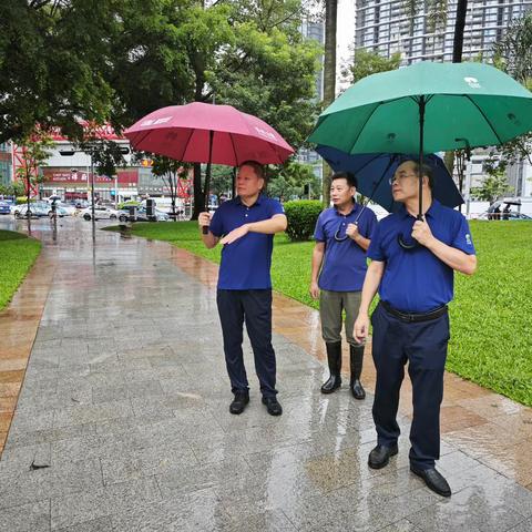 黄亚副主任率队到荔枝公园开展暴雨后现场情况检查