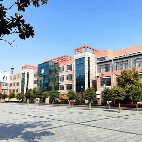 学习大单元教学设计，构建素养本位课堂  ——  北辛街道中心小学新课标暑期培训