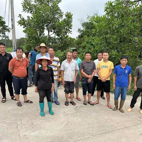 坡心镇开展水浮莲清理专项攻坚活动