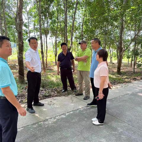 中国热科院品资所调研组到坡心镇新坡村调研林下南药产业情况