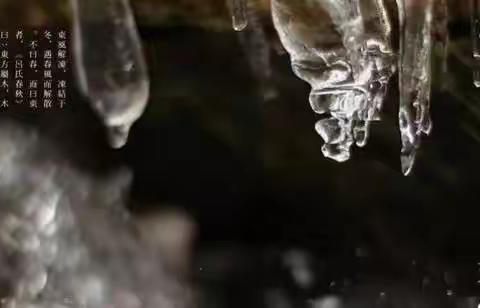 潞安·颐龙湾第八届 龙腾端午，粽情佳节"主题活动