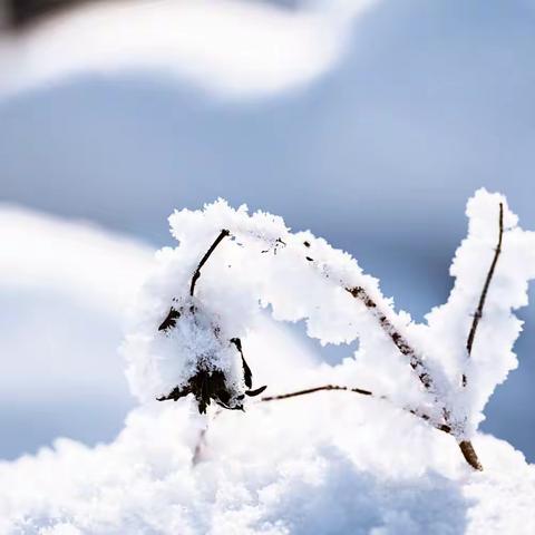 “风雪满校园，扫雪护安全”——斑鸠店镇中学扫雪活动