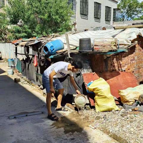 新市村开展预防登革热翻盆倒罐、清除积水活动