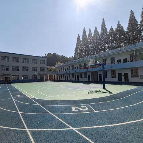 矢志耕耘创佳绩 砥砺奋进再前行——芦淞区蚕梅小学师生科学实验大赛获奖喜报
