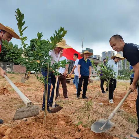 携手同植幸福之树，同心共建绿美家乡