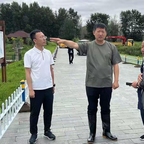 道里区委书记董继文深入群力外滩湿地等园林管护区检查指导防汛备汛工作