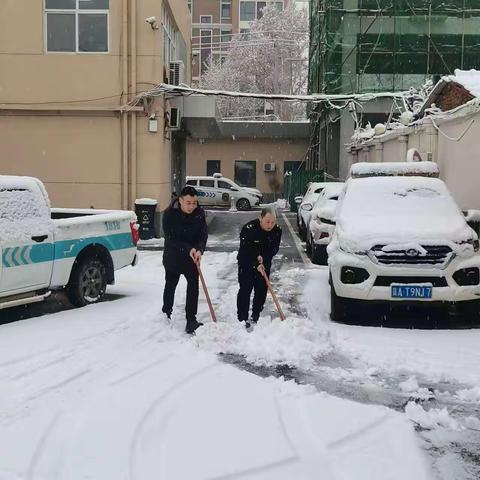 区城管局以雪为令齐行动 全力清扫保通畅