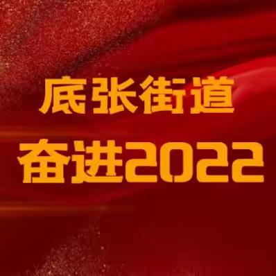 奋进2022丨底张党政工作篇