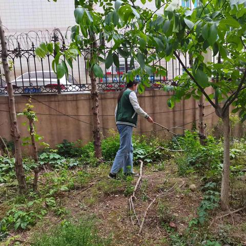 甸柳新村街道办事处组织进行毒品原植物禁种踏查活动