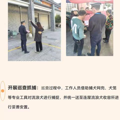 【宁化城管大队】关爱生命，科学收容，共建文明