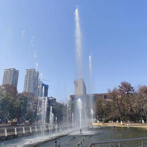 城市中的宁静与活力：公园喷泉的美丽画卷