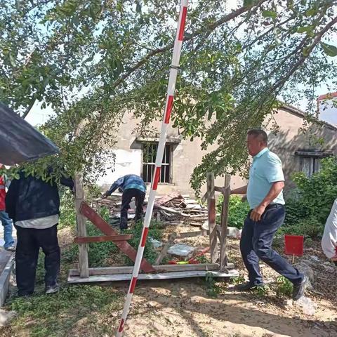 新龙镇新村开展人居环境卫生整治活动