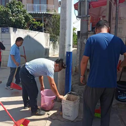 新龙镇新村集中开展“清扫庭院、翻盆倒灌、预防登革热”爱国卫生运动“大扫除”活动