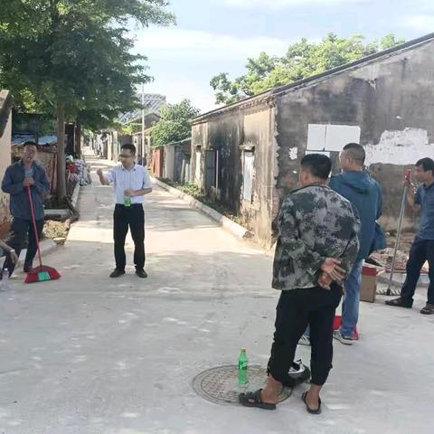 新龙镇新村开展人居环境卫生整治行动