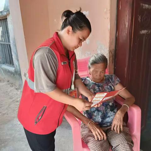 新龙镇网格员入户开展“法治”宣传活动