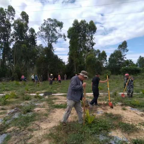 守护耕地红线 保障粮食安全