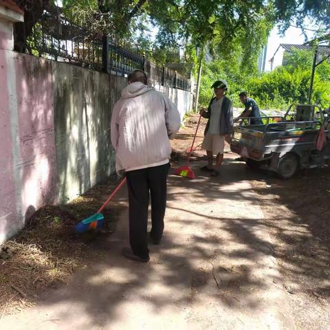 新龙镇新村开展基孔肯雅热防控屏障工作