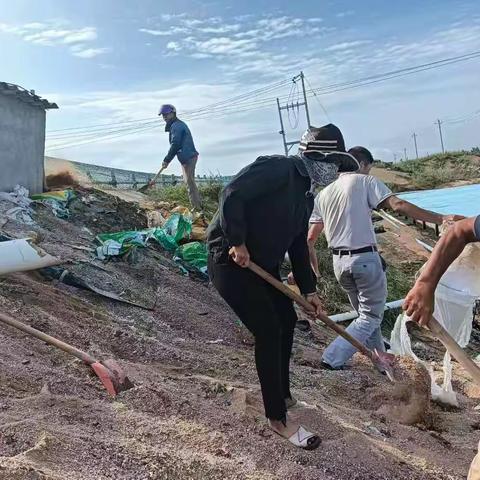 新龙镇新村开展环岛旅行公路沿线环境整治活动