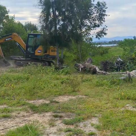 新龙镇新村开展撂荒地复耕工作