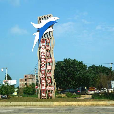 广西钦州三娘湾追逐中华白海豚