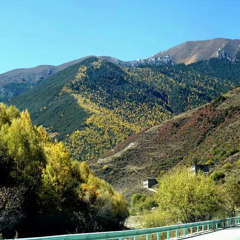 甘孜阿坝休闲游（八）——格聂南线-亚切拉沟