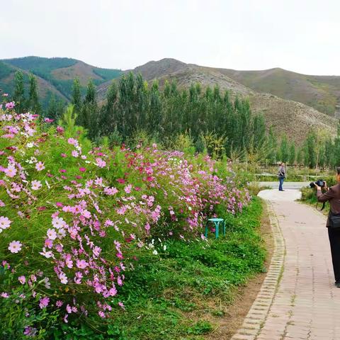 甘进青出新疆之旅（四）——可可托海世界地质公园