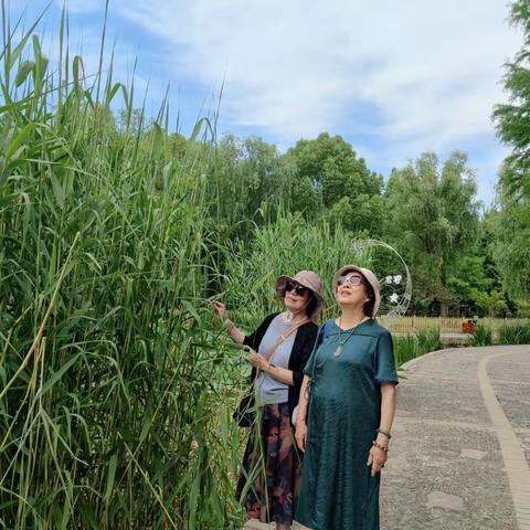 春   游  （2023年）