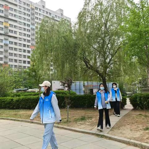 积极应对极端大风天气 筑牢社区安全防线——阳光新城第二社区开展强风天气安全巡查