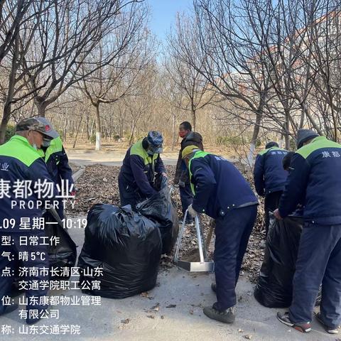 落叶堆积别样景，物业清扫除隐患--山东交通学院职工公寓康都物业服务中心