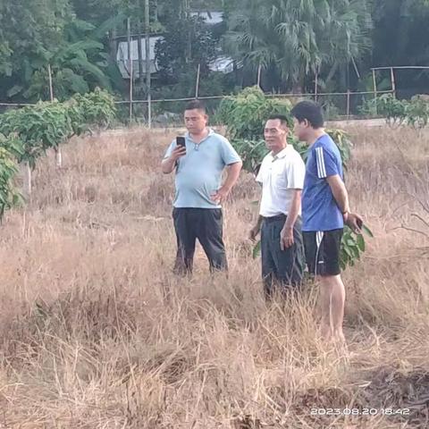 提蒙乡持续开展耕地“非粮化”“非农化”国土云图斑整治复耕工作