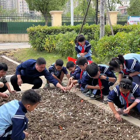 共享菜园，欢乐无限——记华东师范大学弋阳实验学校“百草园”丰收采摘