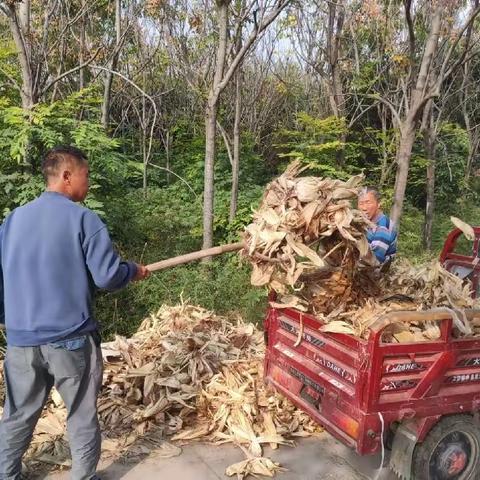 大封镇：落实“三个加强”，筑牢“三秋”秸秆禁烧工作网