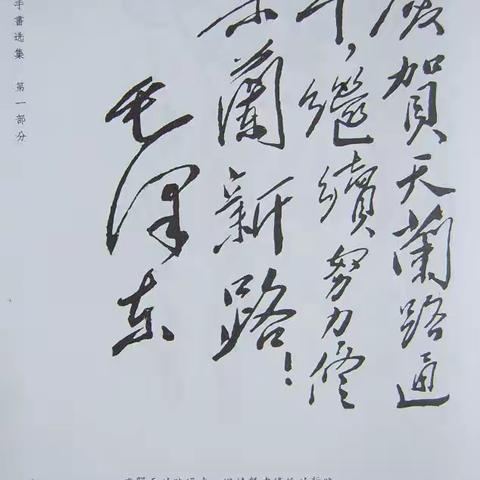 陈德延  || 纪念伟大领袖毛主席诞辰130周年 ——翻拍《毛主席手书选集》 （二）