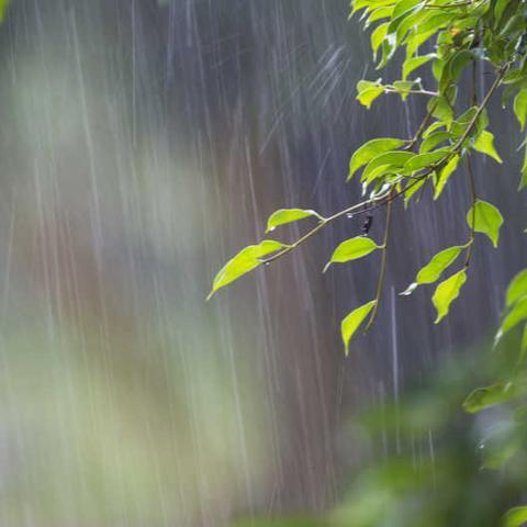 降雨即将来袭，请注意防范