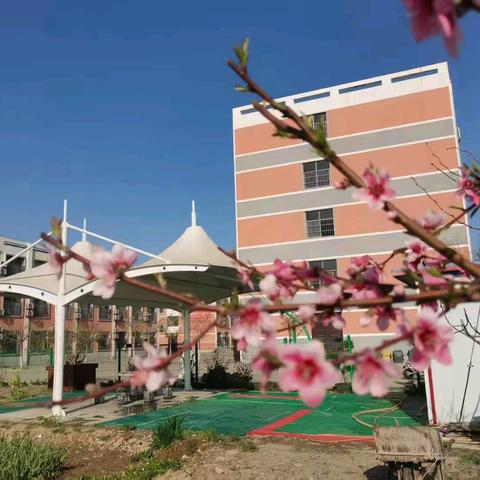 兰陵县新华学校2025年清明节放假通知及安全提示